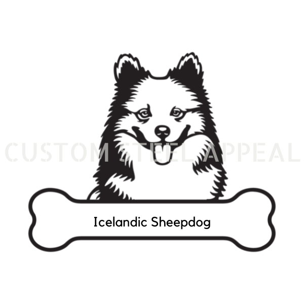 Icelandic Sheepdog Dog Portrait Signs