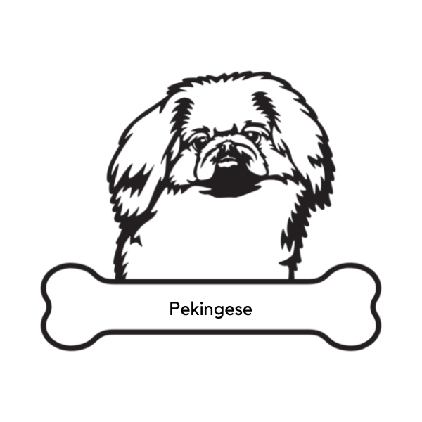 Pekingese Dog Portrait Signs