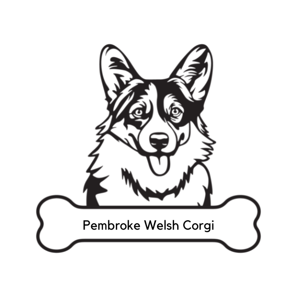Pembroke Welsh Corgi Dog Portrait Signs