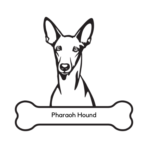 Pharaoh Hound Dog Portrait Signs