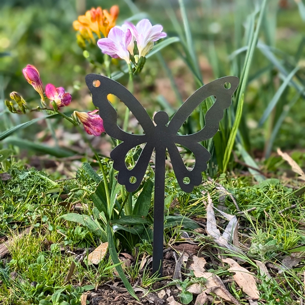 Mini Butterfly 4
