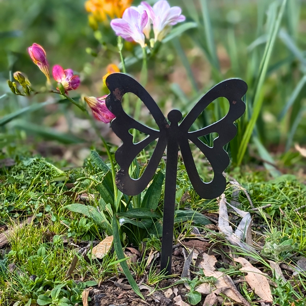 Mini Butterfly 6