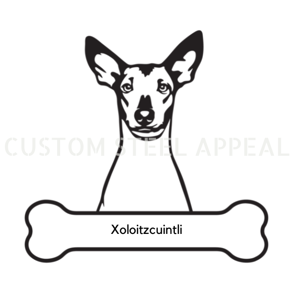 Xoloitzcuintli Dog Portrait Signs