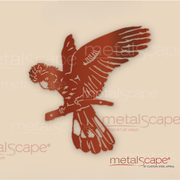 Black Cockatoo Landing Wall Art