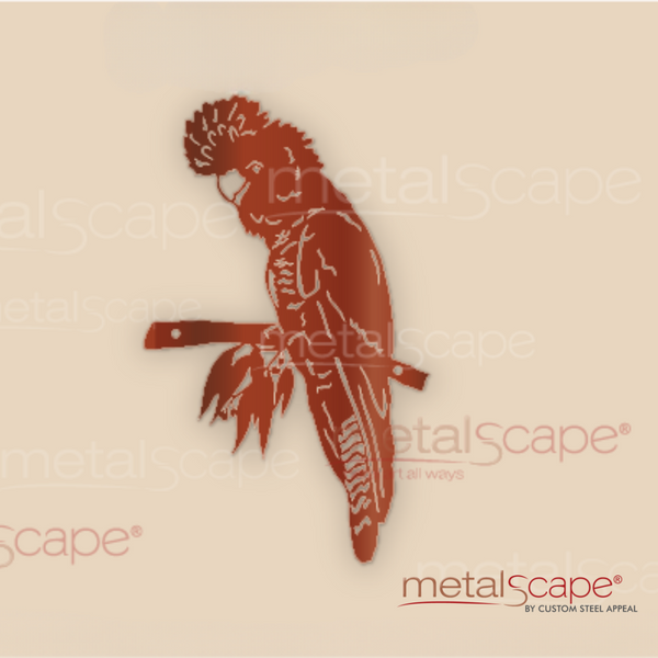 Black Cockatoo Sitting Wall Art