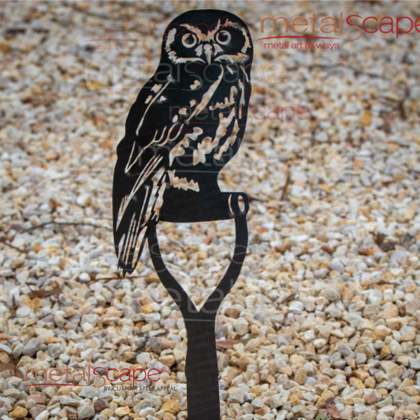 Boobook Owl on Spade Handle