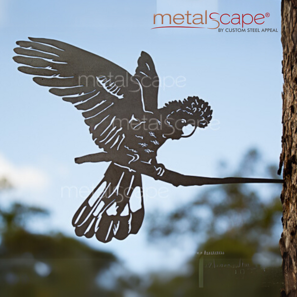 Black Cockatoo Landing Tree Spike