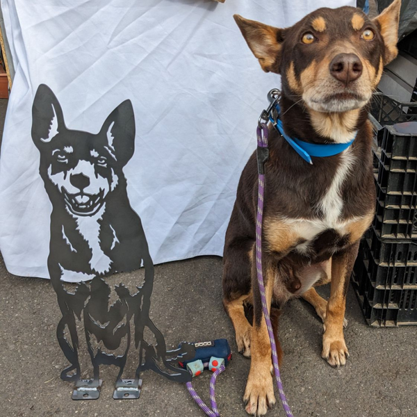 Kelpie Dog Garden Feature "Donny"