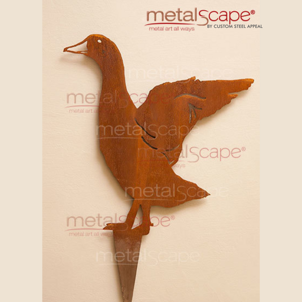 Duck Flapping