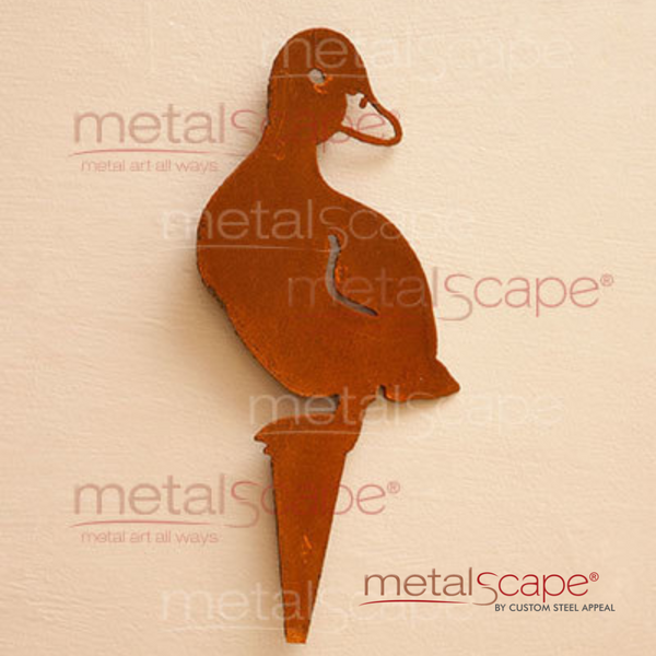 Duckling (Head Turned)