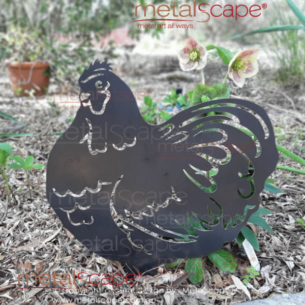 Hen Sitting (Pekin)