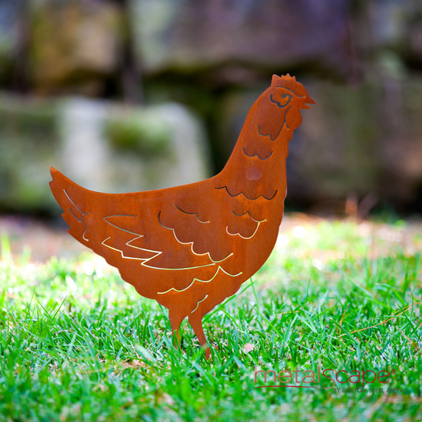 Hen Standing