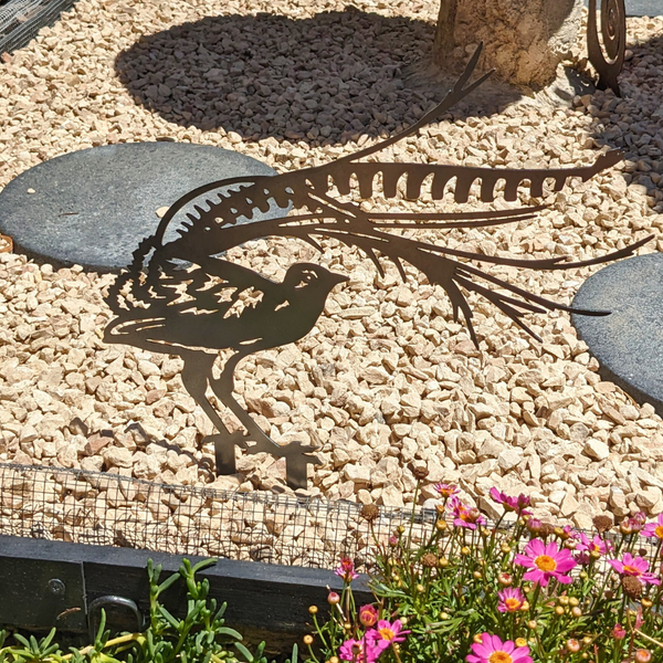 Lyrebird - Tail Up