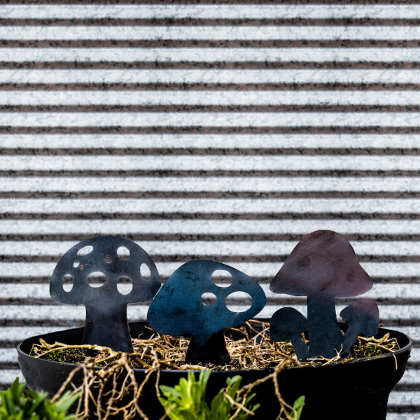 Mini Toadstool Fairy Garden Accessory | Mushroom Pot Plant Decoration ...