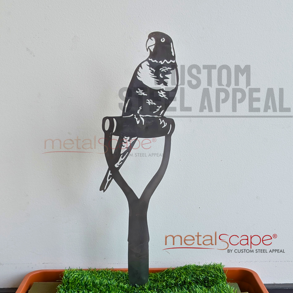 Rainbow Lorikeet on Spade Handle