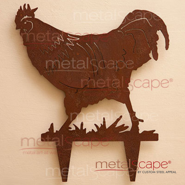 Rooster Walking