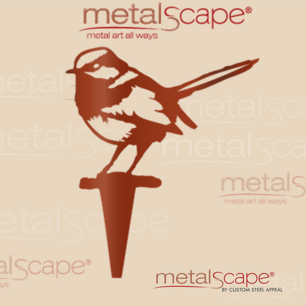 Superb Fairy Wren 2