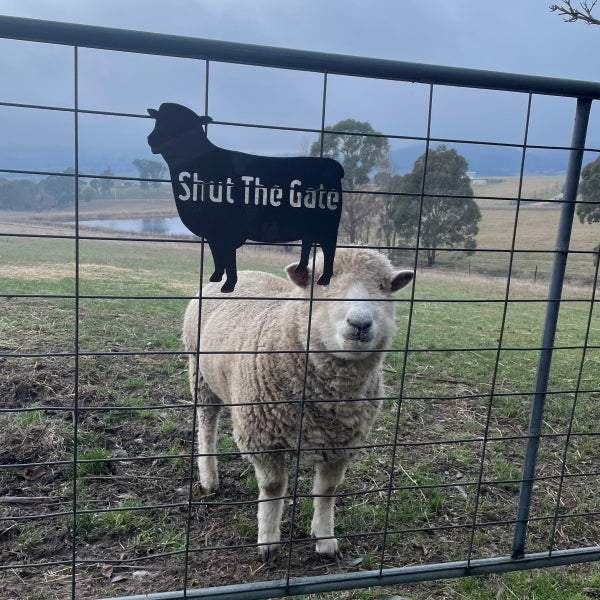 Shut the Gate Sheep Sign