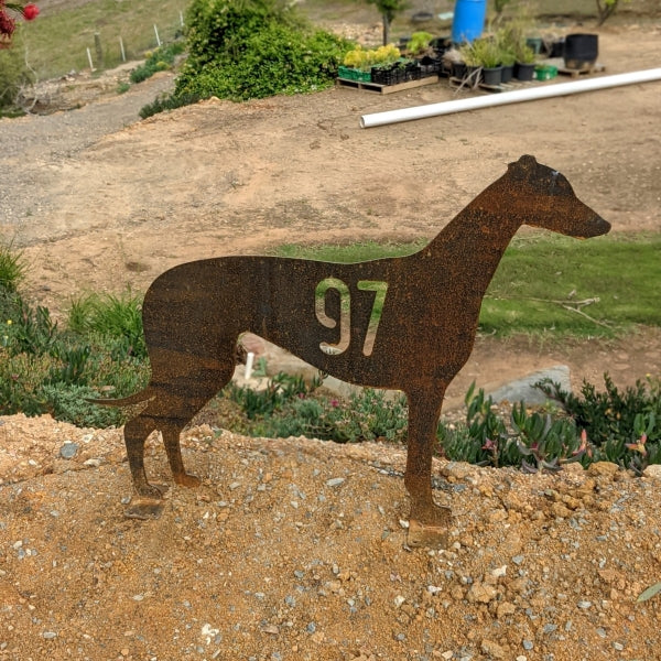 Greyhound Feature – Custom Steel Appeal
