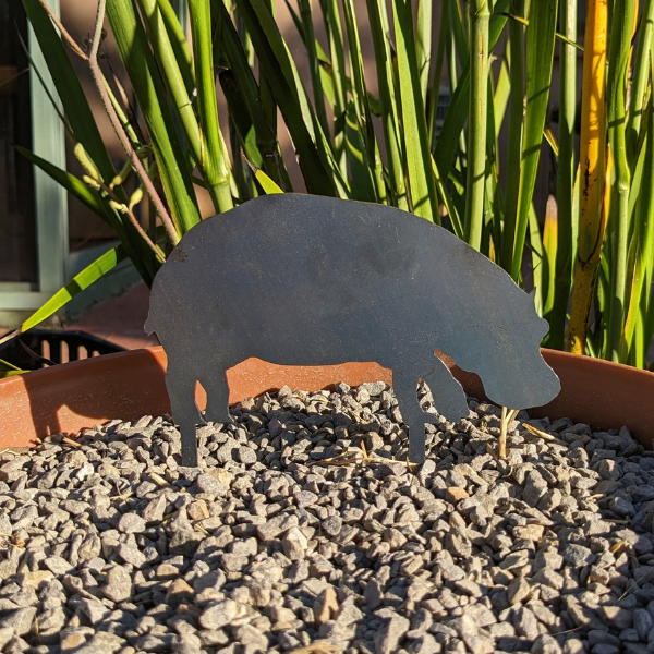 Mini Hippo