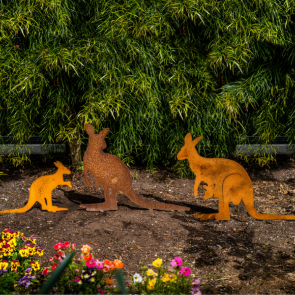 Kangaroo Family
