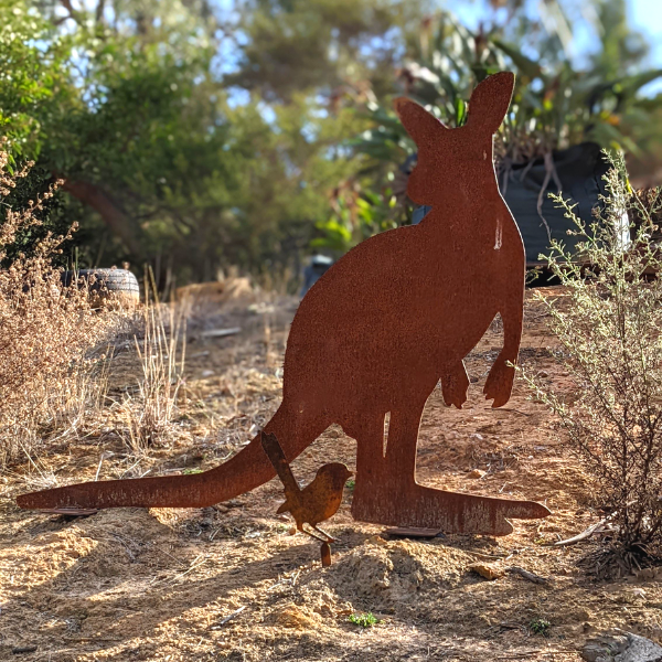 Kangaroo Feature