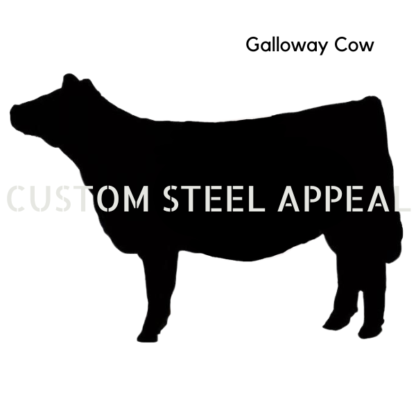 Shut the Gate Galloway Cow